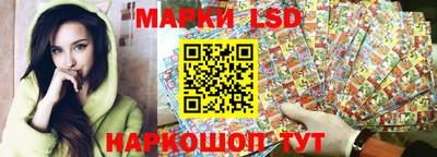 стафф Дубна