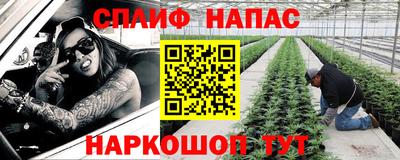 стафф Дубна
