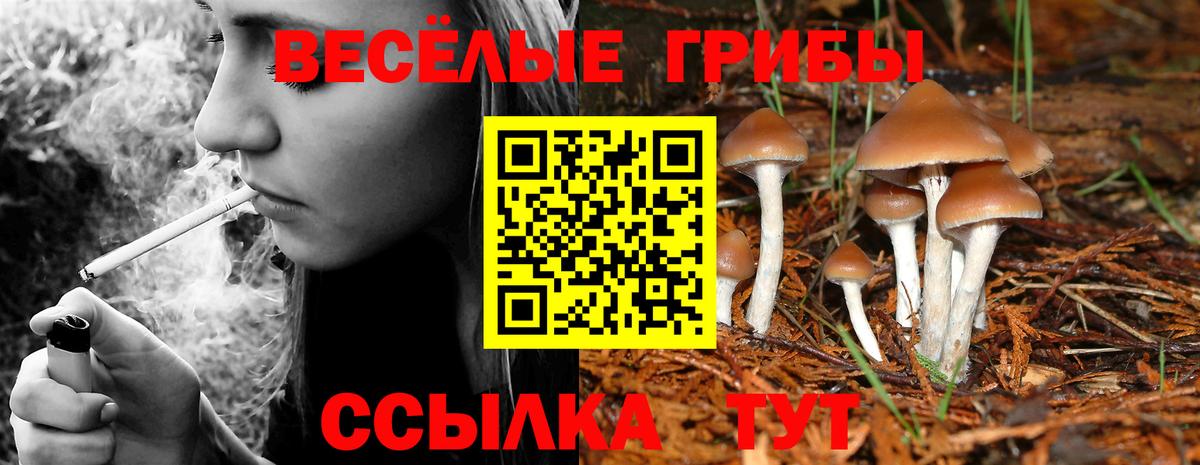 Нефтекамск  Галлюциногенные грибы мицелий  Вход с VPN 